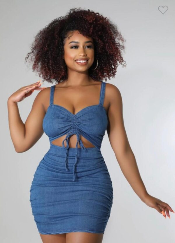 Fine As Wine Denim dress - Image 3